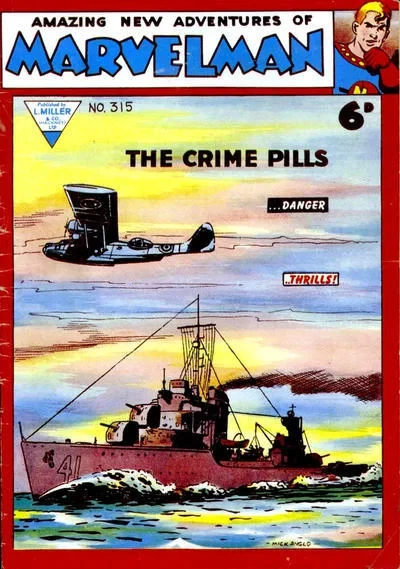 Cover of Issue #315