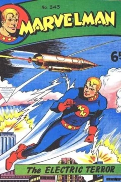 Issue #343