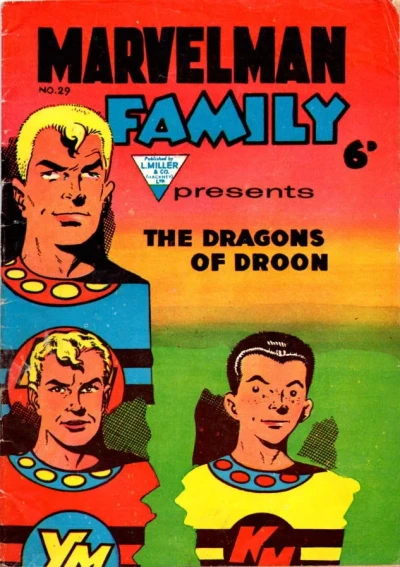 Cover of Issue #29