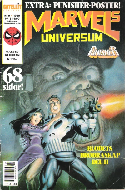 Cover of Punisher - Blodets brödraskap, del 2