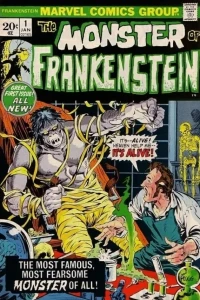 Mary Shelley's Frankenstein