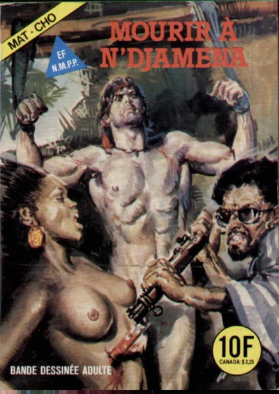 Cover of MOURRIR À N'DJAMÉNA