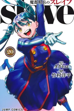 Vol. 20