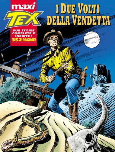 Cover of I due volti della vendetta