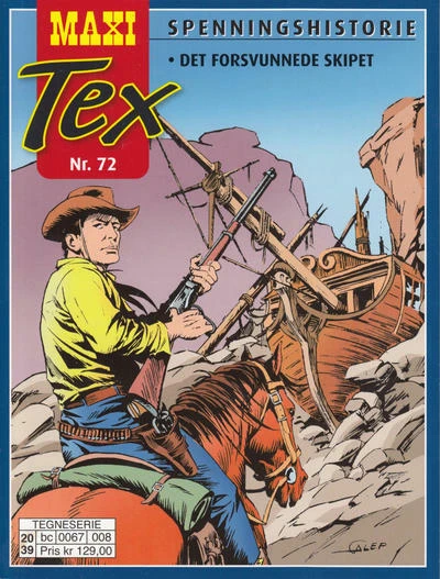 Cover of Det forsvunnede skipet