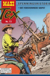 Det forsvunnede skipet