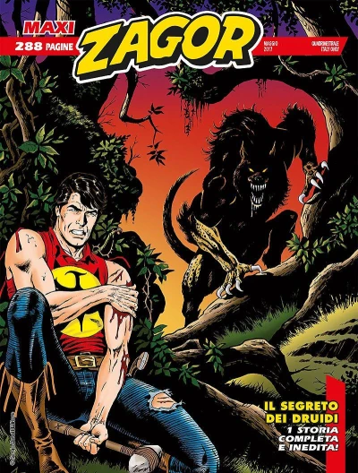 Cover of Il segreto dei druidi