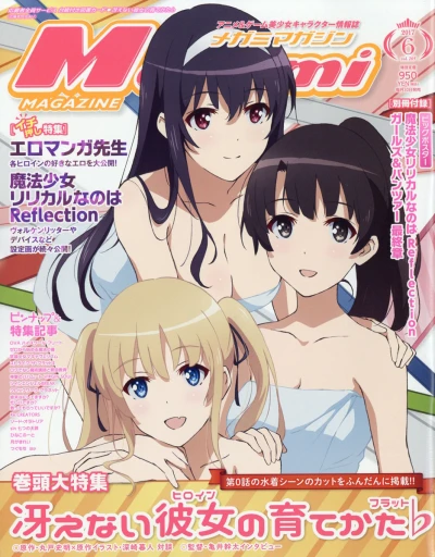 Cover of Vol. 205