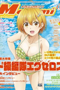 Vol. 245