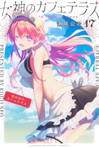 Cover of Volume 17