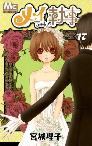 Cover of Volume #17