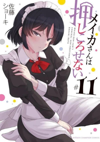 Cover of Vol. 11