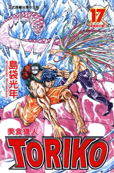 Cover of Vol. 17