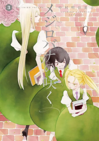 Cover of The Third Volume
