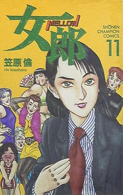 Cover of Vol. 11