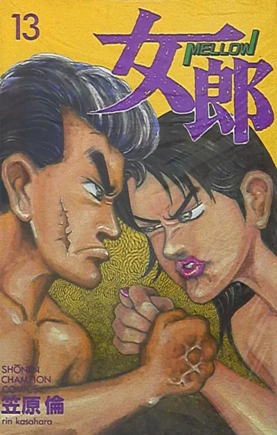 Cover of Vol. 13