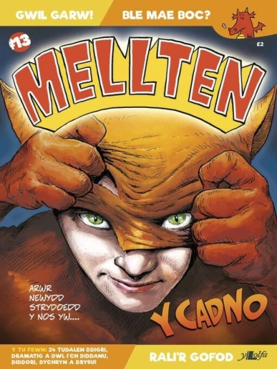 Cover of Issue #13