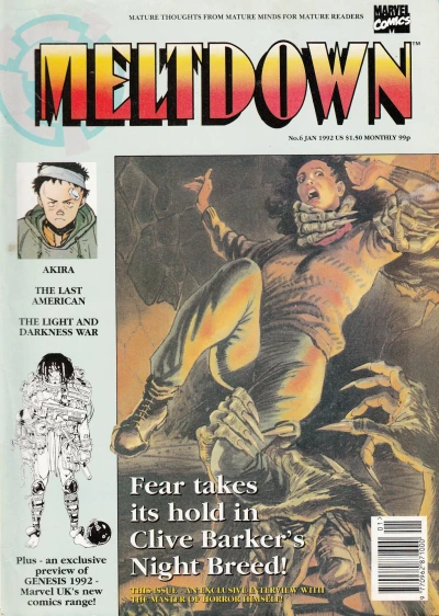 Cover of Meltdown 6