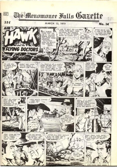 Cover of Air Hawk : Flying Doctors