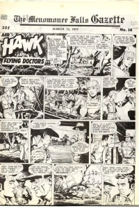 Air Hawk : Flying Doctors