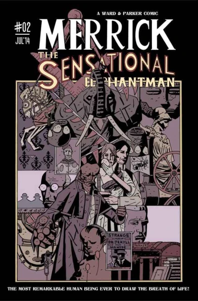 Cover of Maternal Impressions