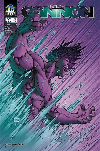 Cover of Cold Reception