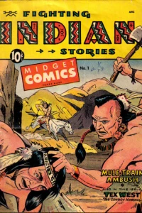 Fighting Indian Stories