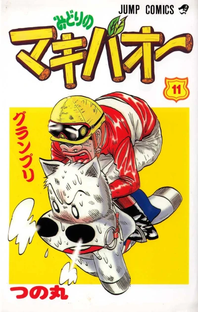 Cover of Vol. 11