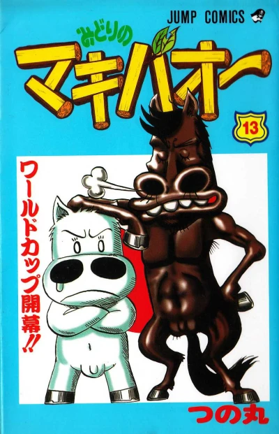 Cover of Vol. 13