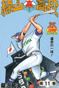 Vol. 11