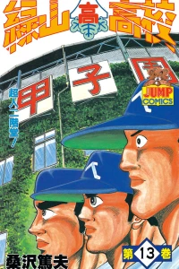 Vol. 13