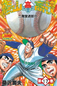 Vol. 17