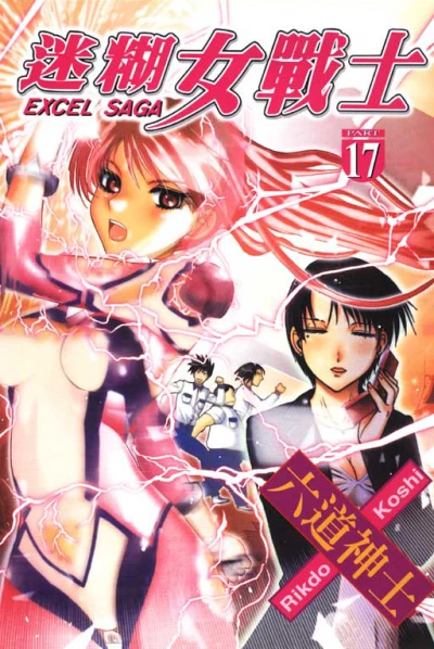 Cover of Vol. 17