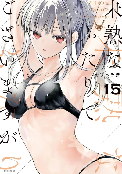 Cover of Vol. 15