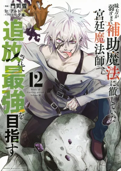 Cover of Volume.XII