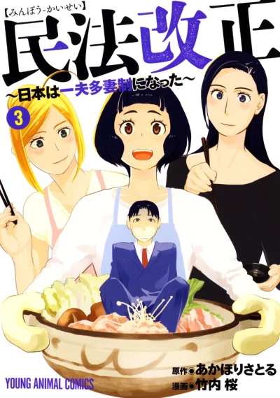 Cover of Vol. 3