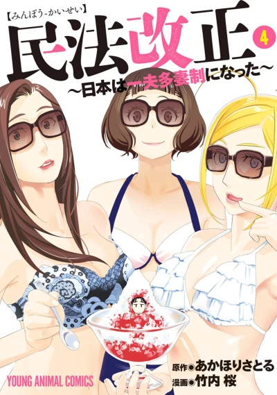 Cover of Vol. 4
