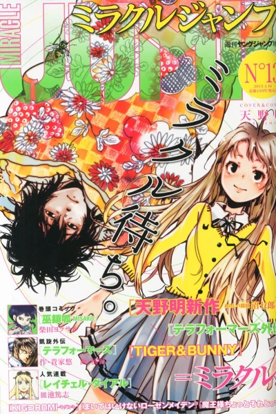 Cover of Volume #13