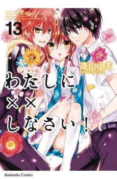 Cover of Vol. 13