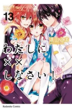 Vol. 13