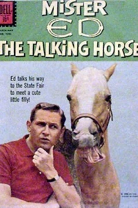 Mister Ed, the Talking Horse