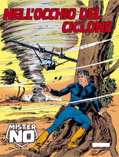 Cover of Nell'Occhio del Ciclone