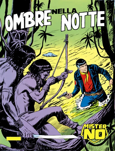 Cover of Ombre nella Notte