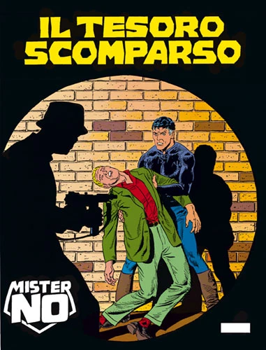 Cover of Il Tesoro Scomparso