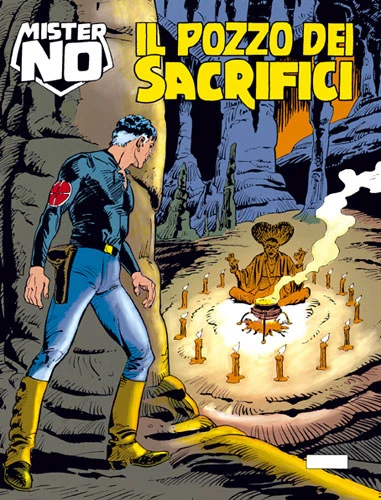 Cover of Il Pozzo dei Sacrifici