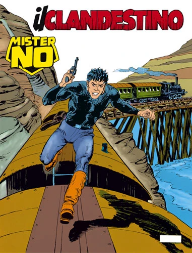 Cover of Il Clandestino