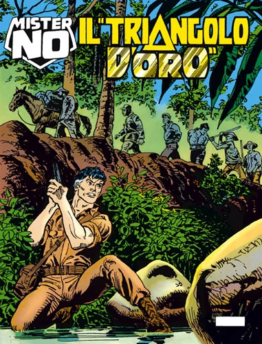 Cover of Il “Triangolo d'Oro”
