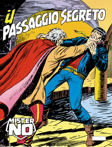 Cover of Il Passaggio Segreto