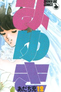 Vol. 12