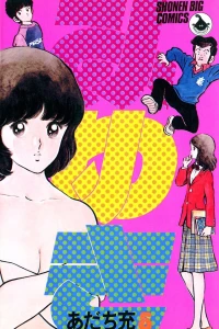 Vol. 5